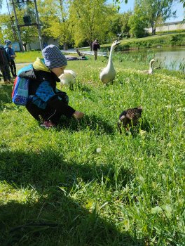 IMG_20230510_095225