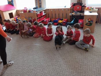 IMG_20230404_104318