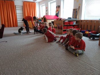 IMG_20230404_104842