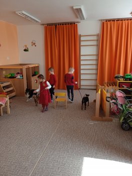 IMG_20230404_110209
