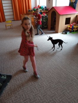 IMG_20230404_110341_1